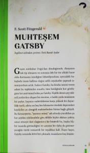 Muhteşem Gatsby