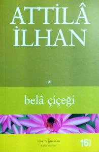 Bela Çiçeği Bela Çiçeği