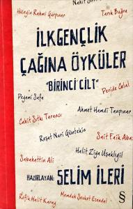 İlkgençlik Çağına Öyküler  1.Cilt