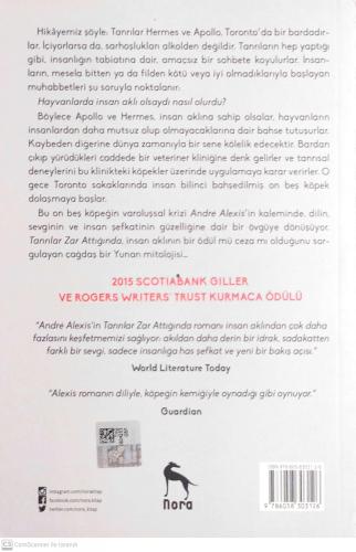 Tanrılar Zar Attığında Andre Alexis Nora Kitap