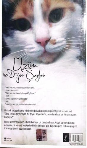 Üzüm ve Diğer Şeyler Yaşar M. Taşkale Artemis Yayınları