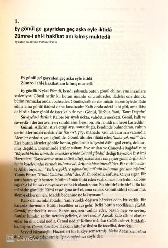 Niyazi-i Mısri Divanı ve Şerhi M. Efdal Emre Eser kitap