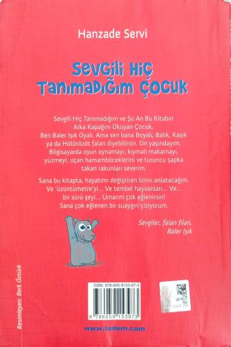 Sevgili Hiç Tanımadığım Çocuk Hanzade Servi Tudem