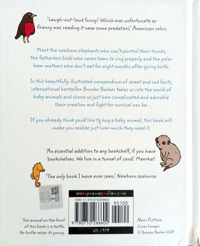 Sad Animal Facts Brooke Barker Boxtree