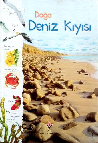 Doğa: Deniz Kıyısı