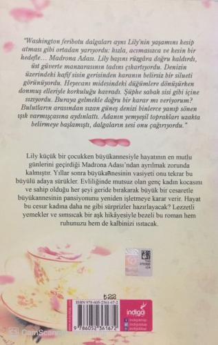 Hayat Yeniden Andrea Hurst indigo Kitap