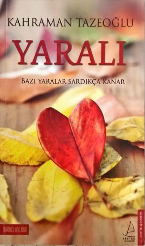 Yaralı- Bazı Yaralar Sardıkça Kanar Kahraman Tazeoğlu Destek Yayınevi