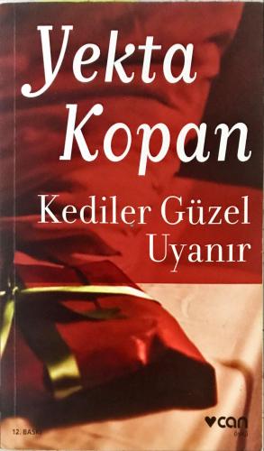 Kediler Güzel Uyanır Yekta Kopan Can Yayınları