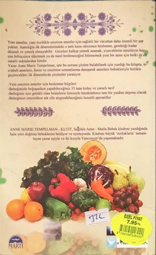 Sağlıklı Anne Mutlu Bebek Anne Marie Tempelman Kluit Martı Yayınevi