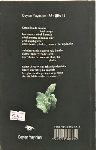 Bir Şarkı Söyle Yeryüzü Olsun Yüzün Süleyman Kaplan Ceylan